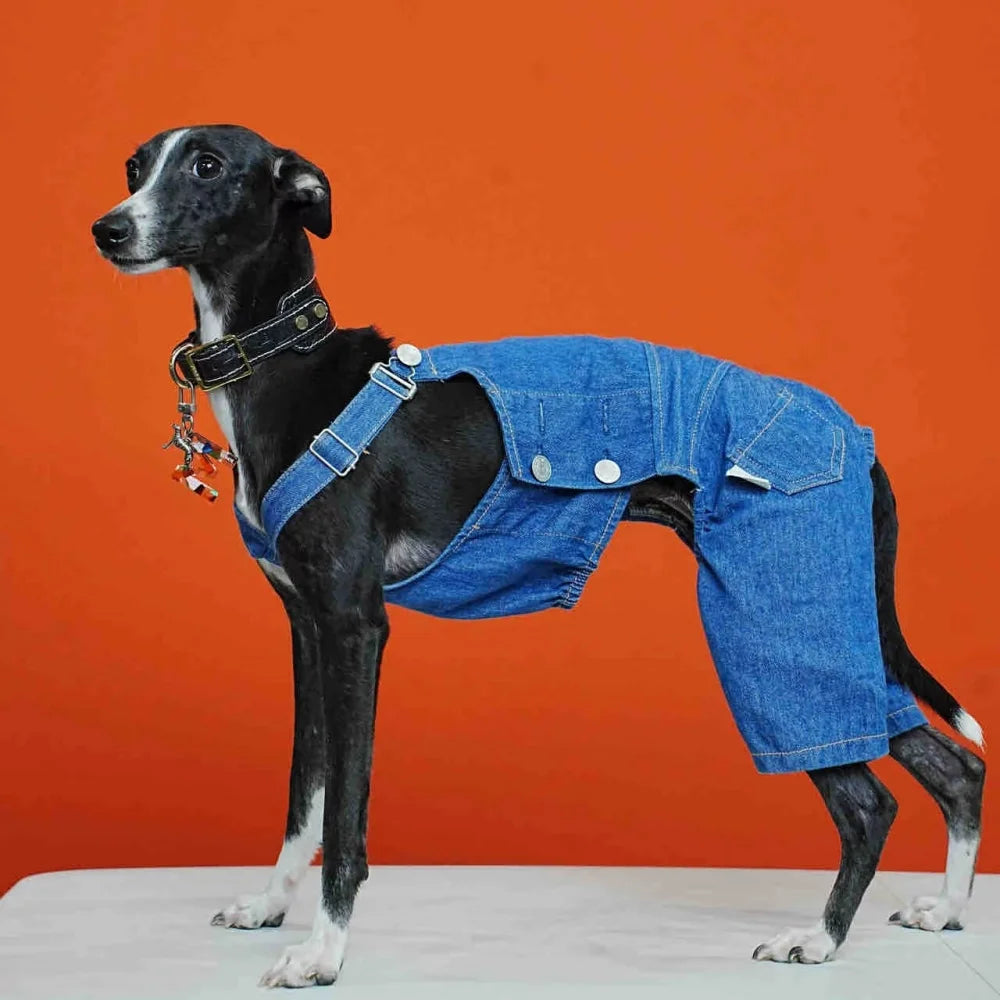Adjustable Dog Overalls – Blue & White