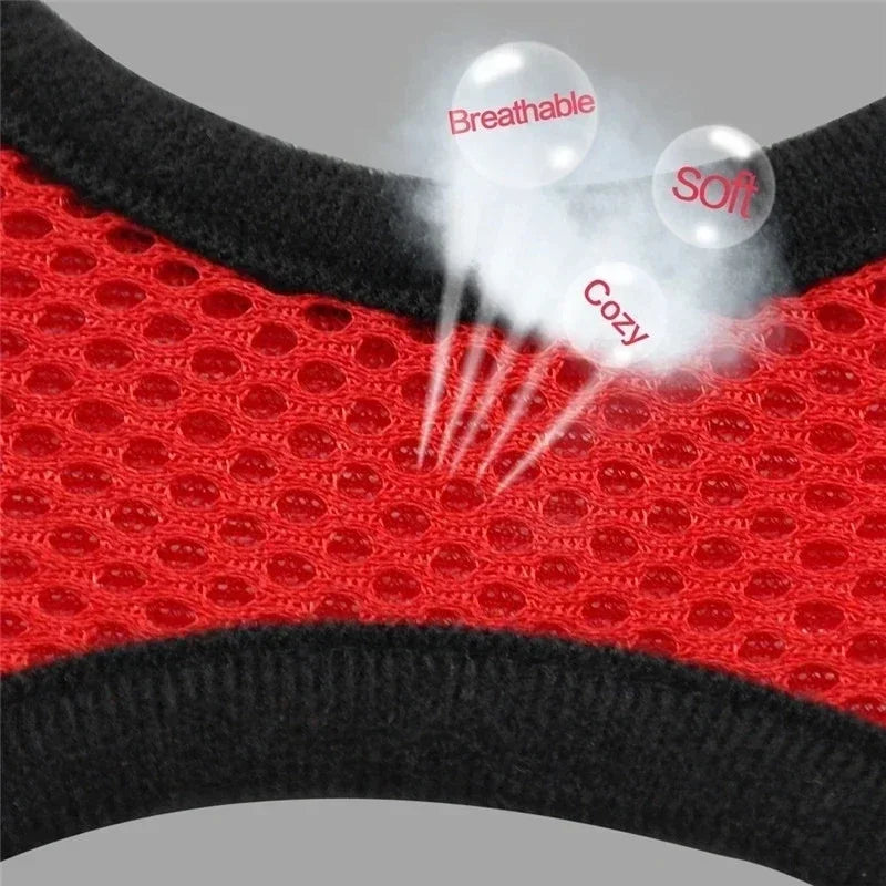 Adjustable Mesh Pet Harness & Leash – S to L