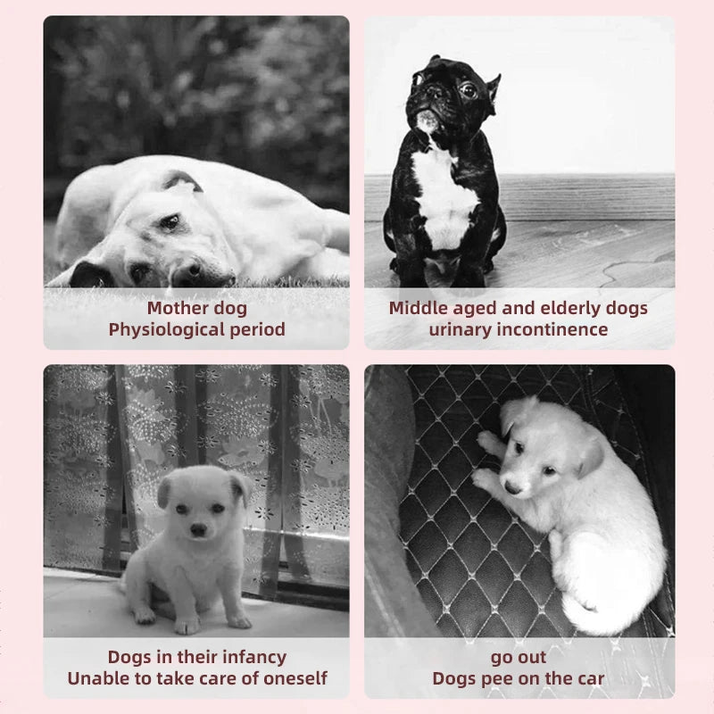 HOOPET Pink Disposable Dog Diapers – 10-Pack