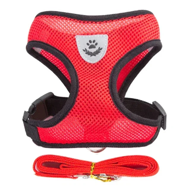 Adjustable Mesh Pet Harness & Leash – S to L