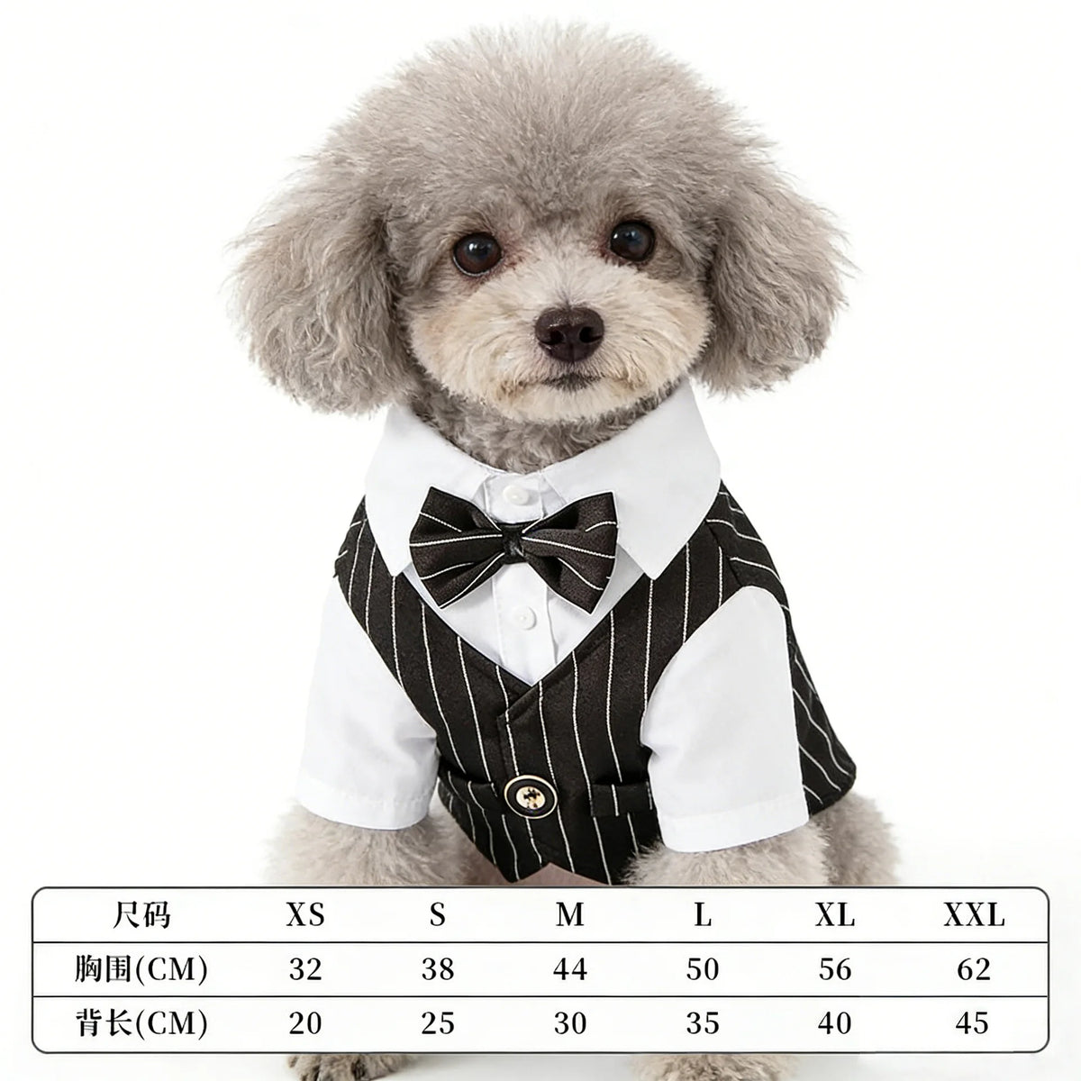 Pinstripe Dog Tuxedo-Style Outfit with Bow Tie