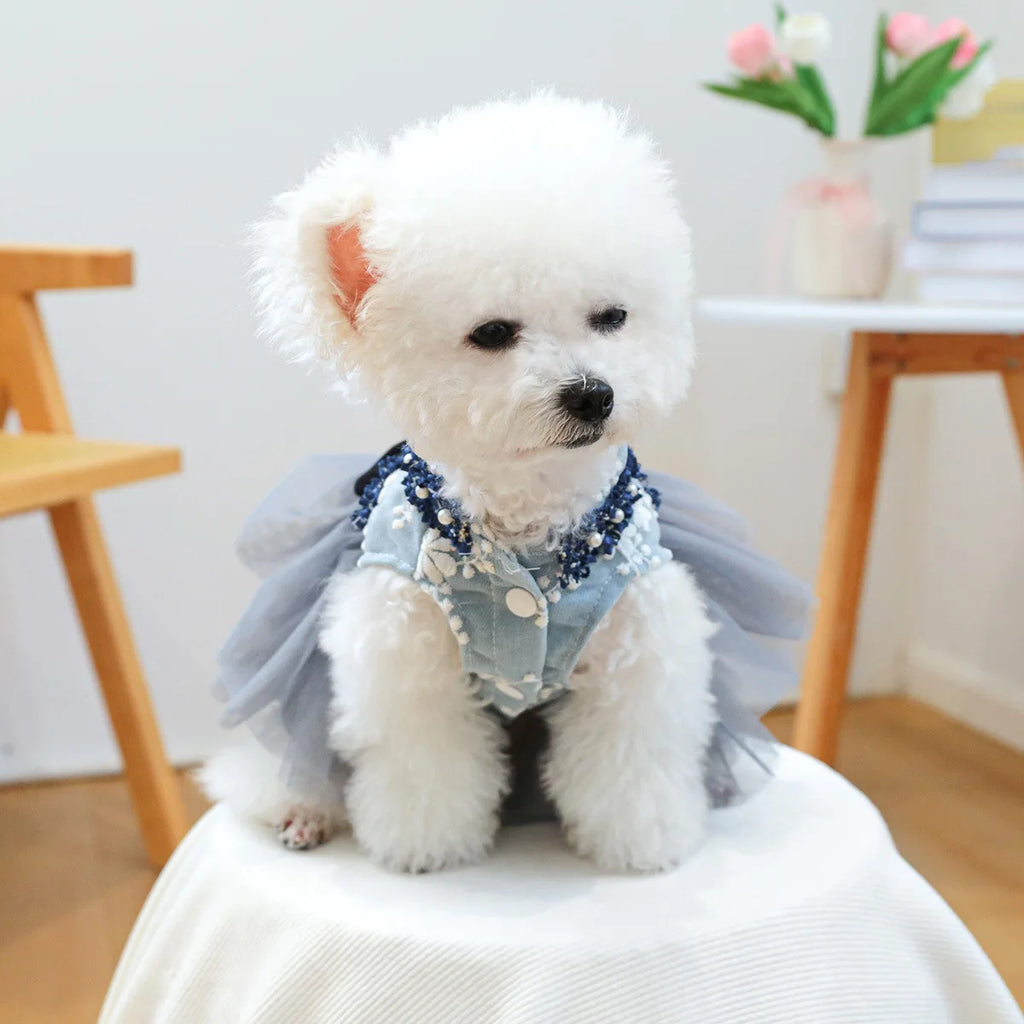 Decorative Pet Dress – Six Style Options
