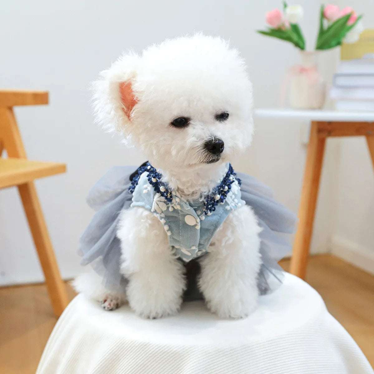 Decorative Pet Dress – Six Style Options