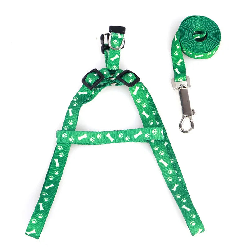 Patterned Small-Pet Harness & Leash Set