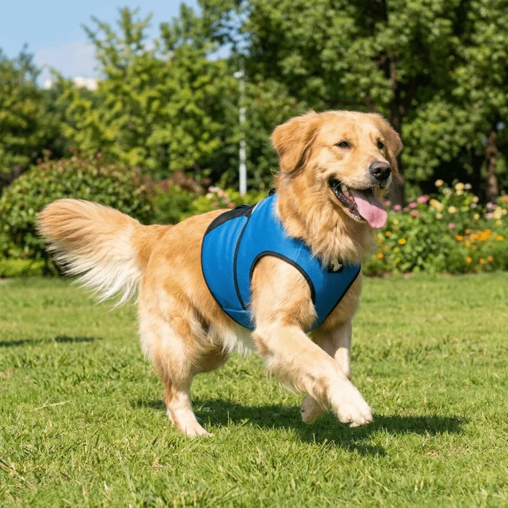 Adjustable Wraparound Dog Vest – Grey, Red & Blue