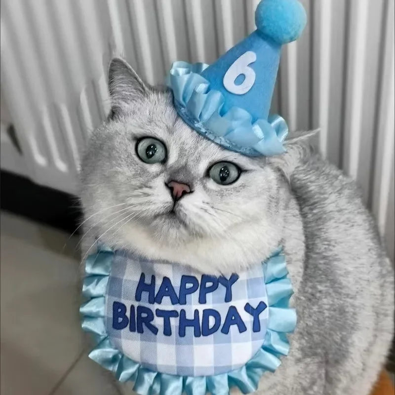 Pet Birthday Hats & Ruffled Bibs – Sets or Separates