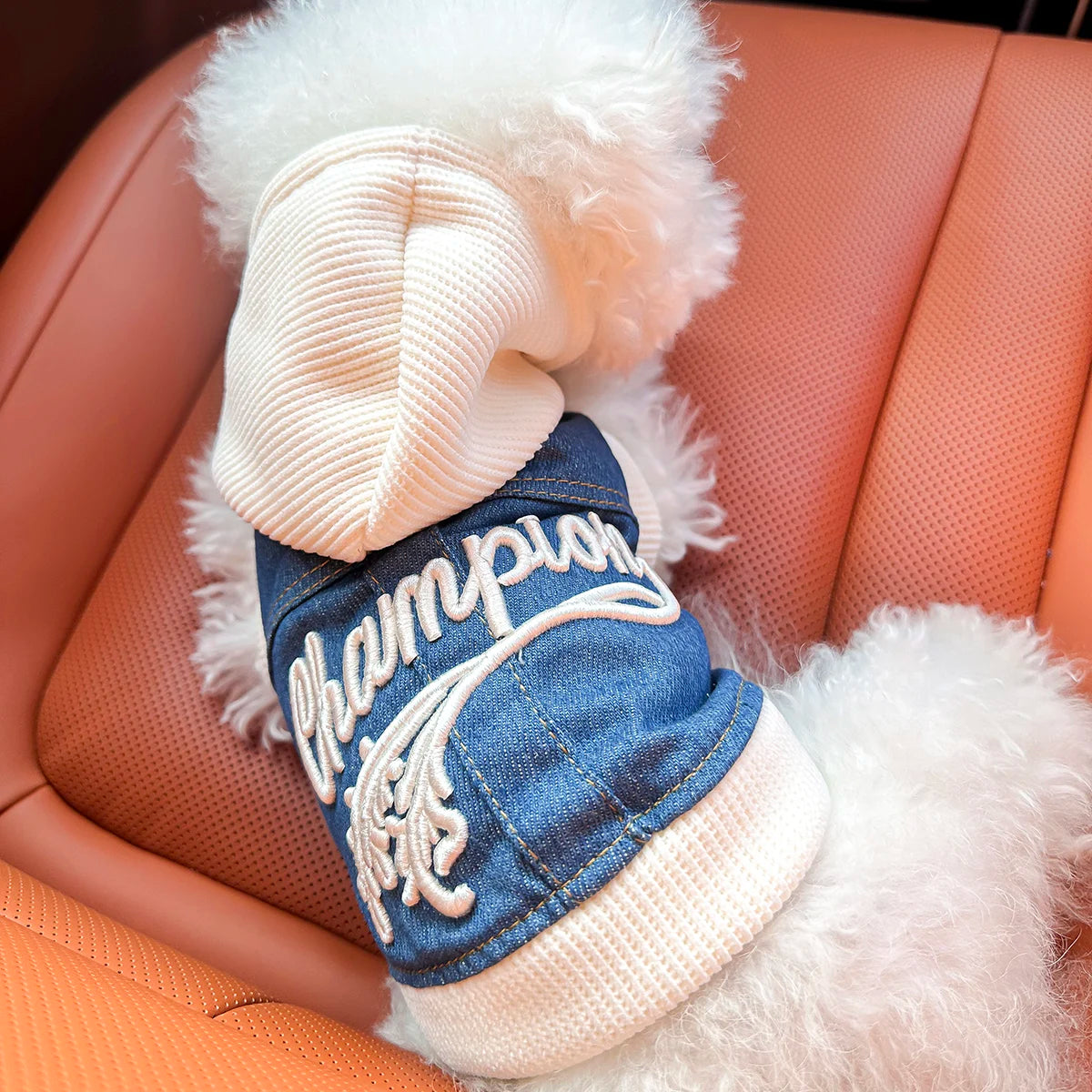 Blue Denim-Look Dog Hoodie with White Hood & Embroidered Back