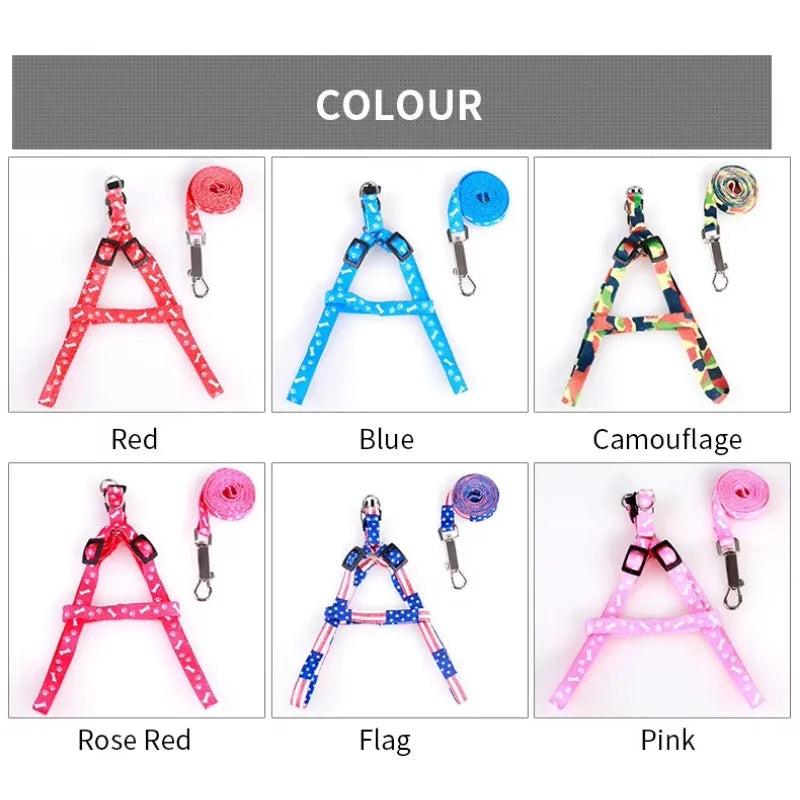 Patterned Small-Pet Harness & Leash Set