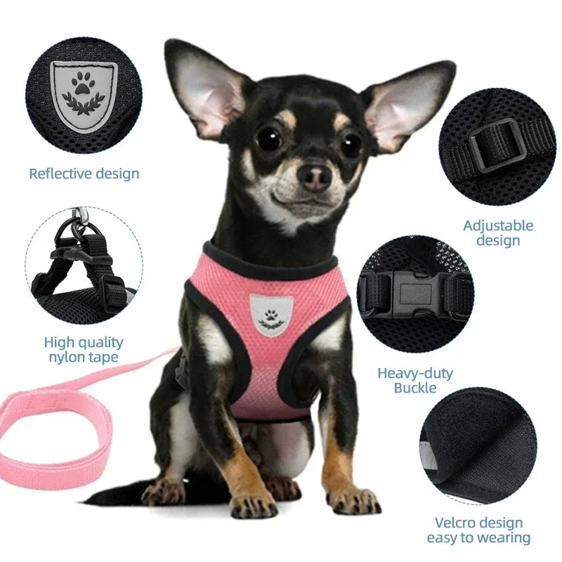 Adjustable Mesh Pet Harness & Leash – S to L