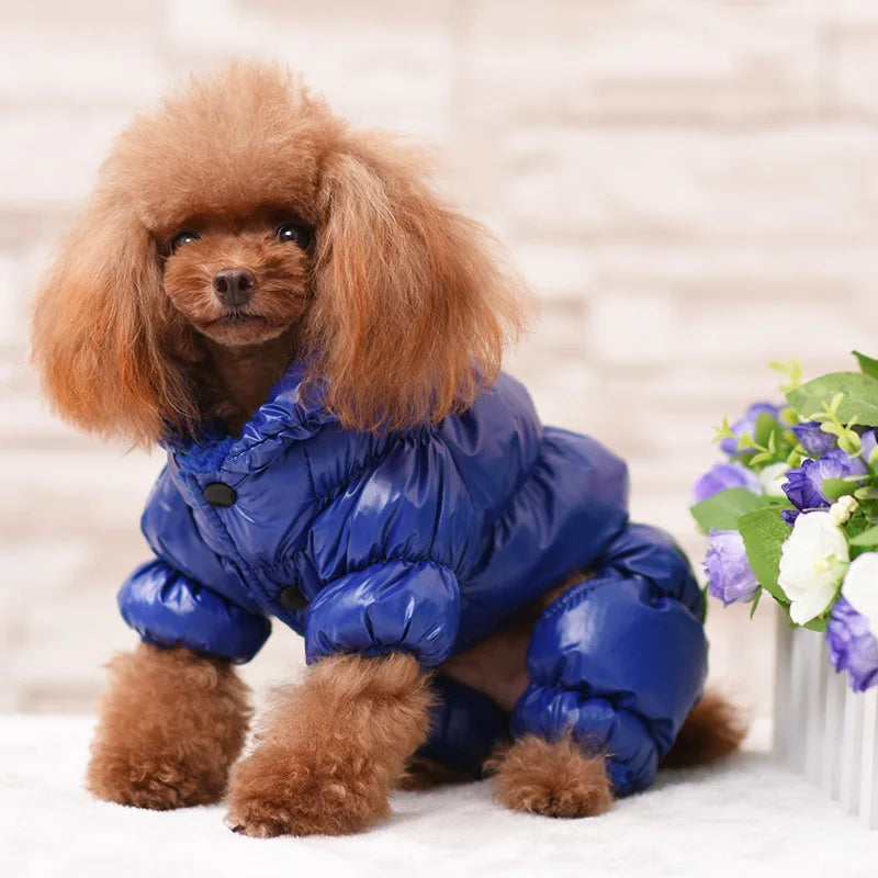 Quilted Four-Leg Dog Snowsuit with Stand Collar