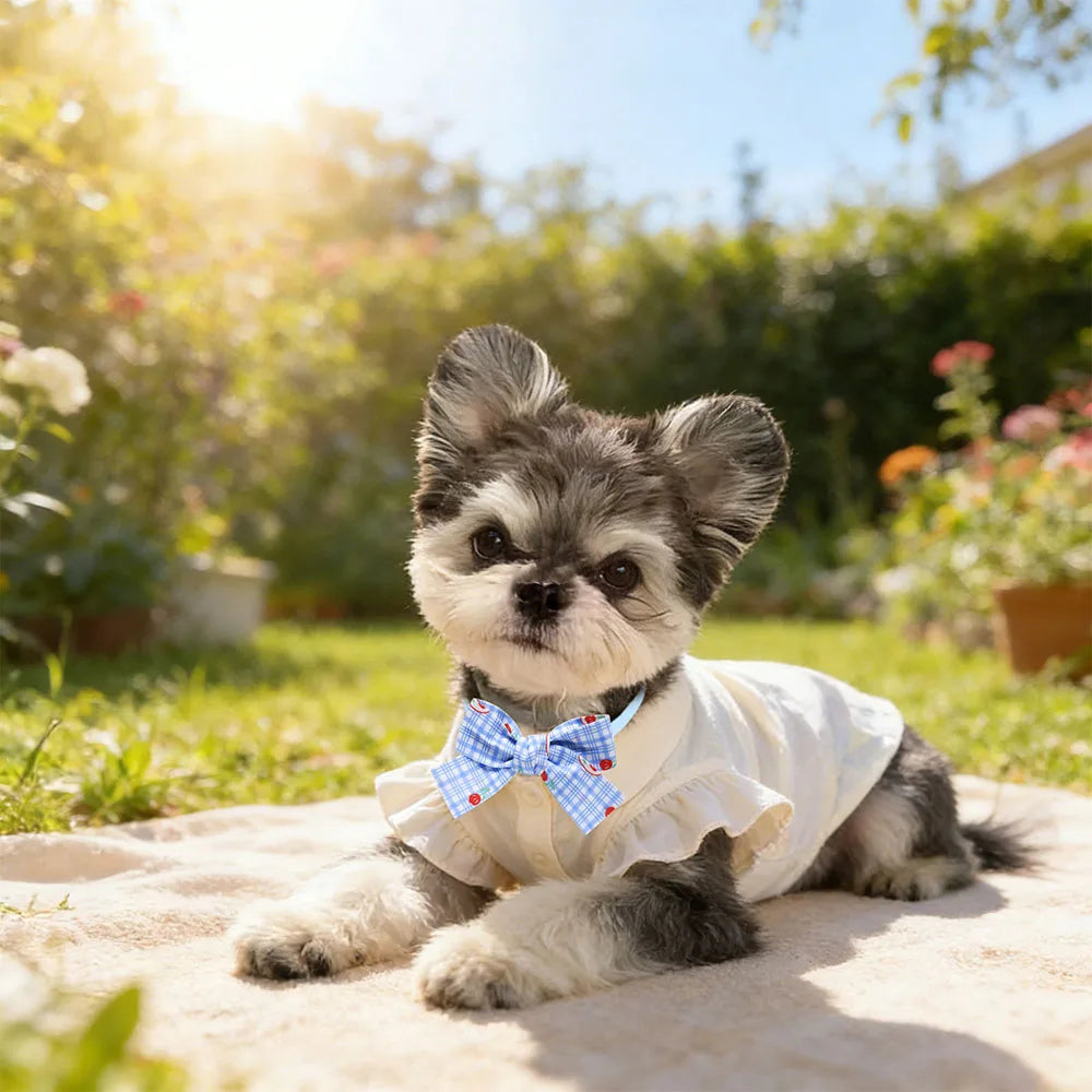 Blue Patterned Pet Bow Ties with Adjustable Straps
