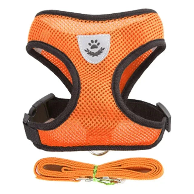 Adjustable Mesh Pet Harness & Leash – S to L