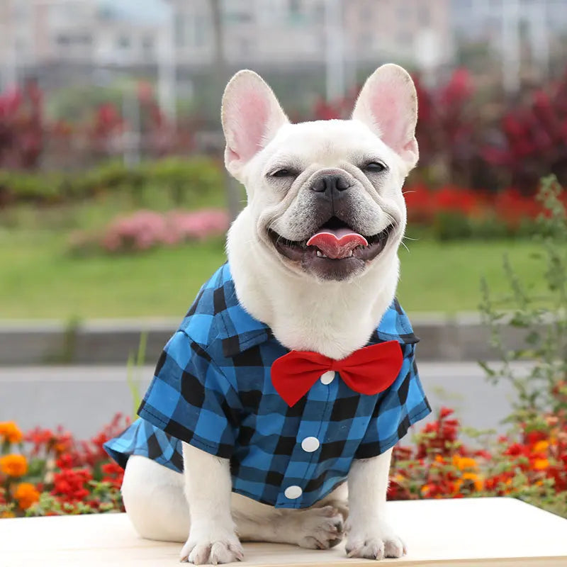 Plaid Pet Shirt with Red Bow Tie – Three Colors, XS–4XL