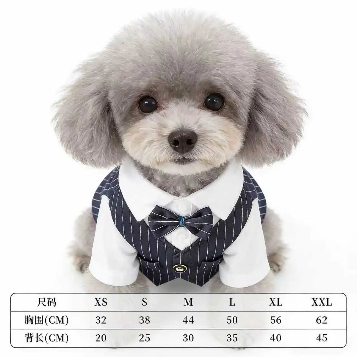 Pinstripe Dog Tuxedo-Style Outfit with Bow Tie