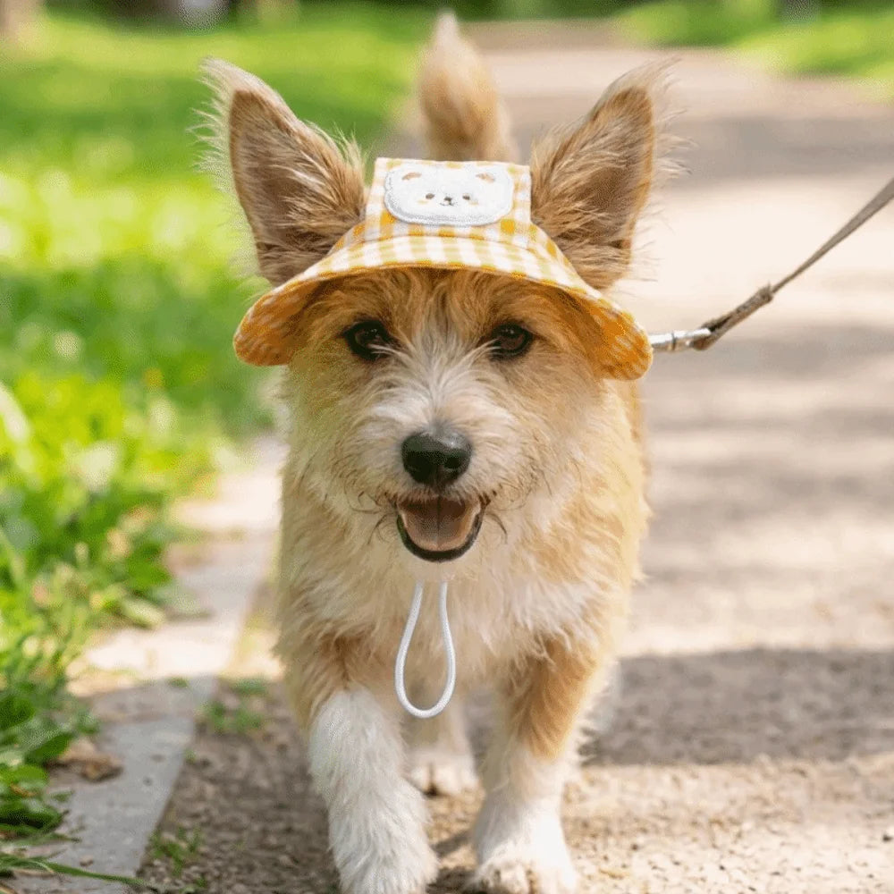Gingham Dog Bucket Hat with Ear Openings