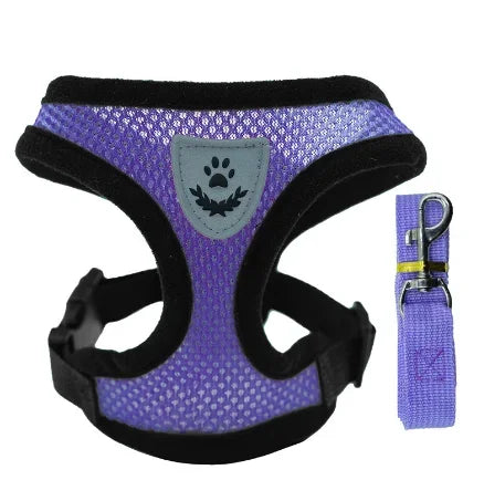 Adjustable Mesh Pet Harness & Leash – S to L